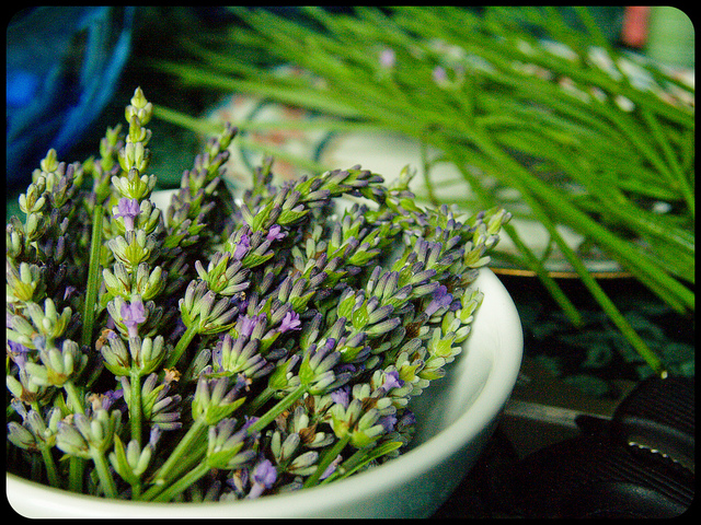 Lavender lemon pancake recipe