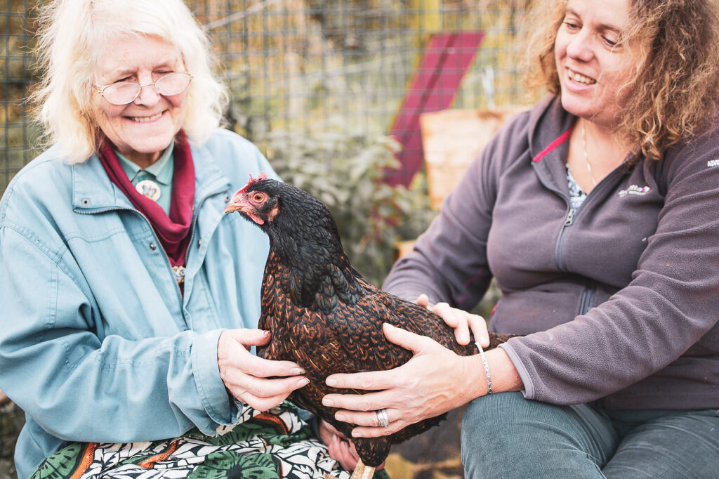 Bath City  Farm