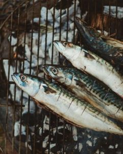 Tom Kitchen's Fish & Shellfish cookbook