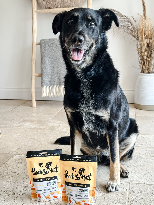 Pooch & Mutt vegan peanut butter treat