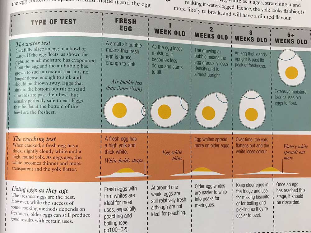 Science of Cooking review