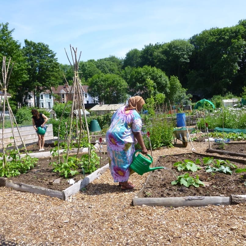 St Werburghs City Farm, Bristol