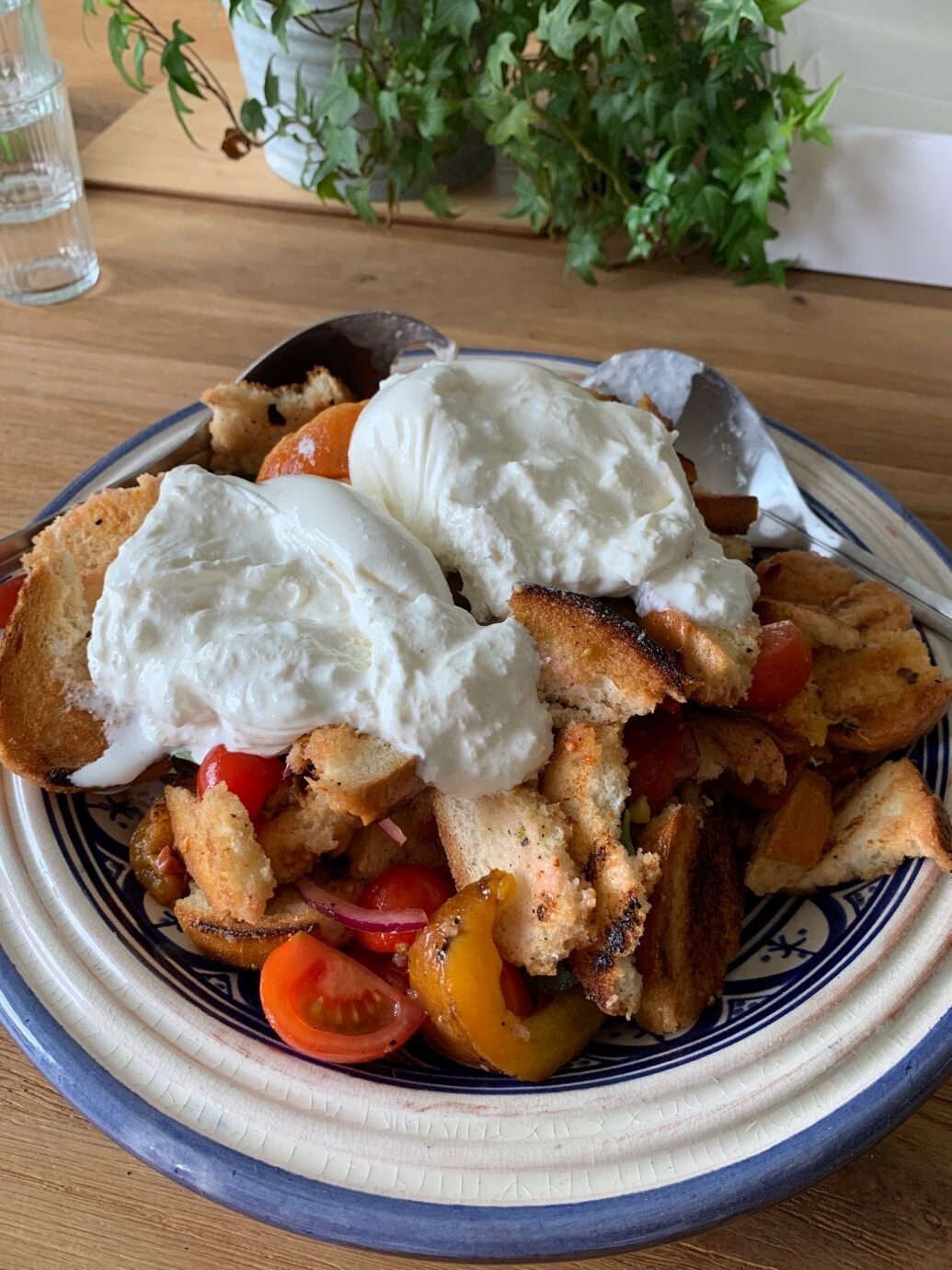 Grilled Nectarine and Burrata Panzanella Salad