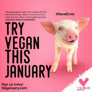 Veganuary 2017